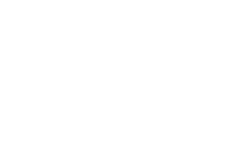 Sabrlock